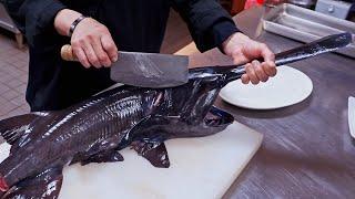 Most unique fish！Steamed fish, Sashimi cutting skills/ 怪物魚降臨！ 鴨嘴鱘切割技巧, 清蒸白鱘魚, 刺身