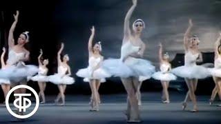 Чайковский "Лебединое озеро" (1983). Большой театр / Swan Lake. Tchaikovsky. Bolshoi Theatre