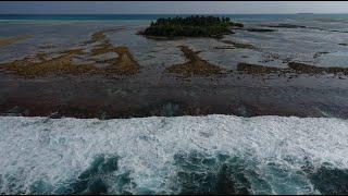 Why coral reefs are key to climate resilience