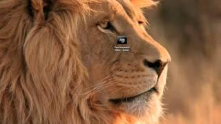 Mac OS X Lion Review - Spotlight