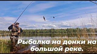 РЫБАЛКА НА ДОНКИ НА БОЛЬШОЙ РЕКЕ. ОТКРЫЛИ СЕЗОН. ГОТОВИМ ШАШЛЫК НА БЕРЕГУ. ДИКАЯ КУХНЯ!
