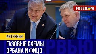 Фицо играет на ПРОРОССИЙСКИХ настроениях – в стране ВОЗМУЩЕНЫ его ГАЗОВОЙ риторикой