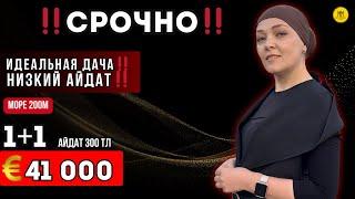 1+1 у моря за копейки! Идеально под сдачу или как дача 