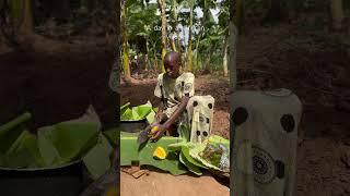 A day in An African Village #africancommunity #ugandafood #africanvillage