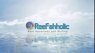 Emerge Reefahholic Logo