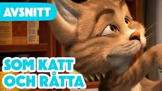 Masha och Björnen  Nytt Avsnitt 2024   Som Katt Och Råtta  (Avsnitt 58)