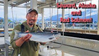 Visiting Seward and Fishing For Red Salmon