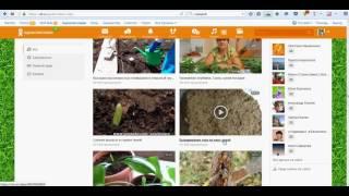 Как скачать видео с одноклассников ok.ru Очень просто