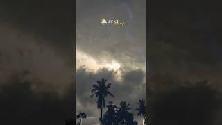 After long time rain day's...️ #june #rain #raindrops #wether #barish #trending #shorts #sukoon