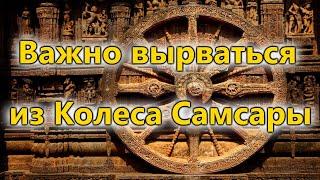 Колесо Самсары, и почему важно из него вырваться? Сергей Курдюмов, Сарвасатья