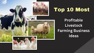 Top 10 Profitable Livestock Farming Ideas | From Zero to Hero