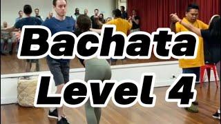 Bachata level 4 demo with talented students at DC #danceculture #brisbane #salsa #bachata #trending