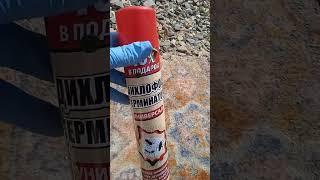 Обработка клубники от долгоносика