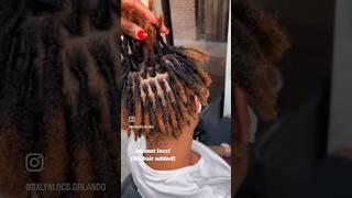 Instant locs! | San Fransisco Workshop