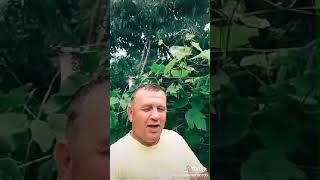 Чиста барои одамои дузана