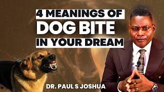 4 Meanings Of Dog Bite In Your Dream+Prophetic Prayers |EP 496|Live With Dr. Paul S.Joshua