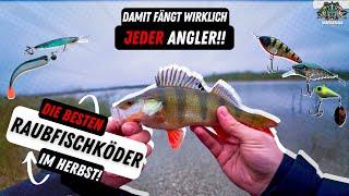 Die Besten Raubfischköder im Herbst  | Beste Hechtköder Barschköder| Lieblingsköder | Nays | Westin