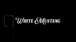 Lana Del Rey - White Mustang (Live Arrangement) (Instrumental)