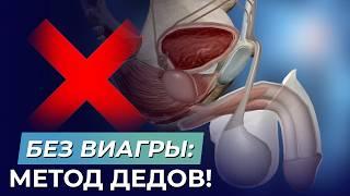 Мужская МОЩНАЯ ЭРЕКЦИЯ в любом возрасте! Эти советы повысят твою потенцию!