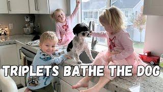 The Triplets give our dog a bath!?