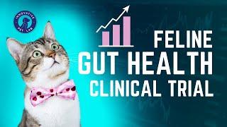 Feline Gut Health Clinical Trial Launch | Two Crazy Cat Ladies