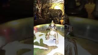 Hare Rama Hare krishan #viralvideo #youtubeshorts #song #trending #bhaktisang 