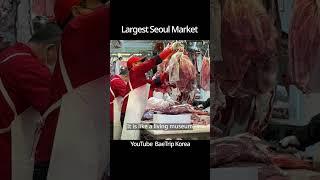 Korea Largest Market #koreamarket #gwangjangmarket #seoulmarket #koreatraveling