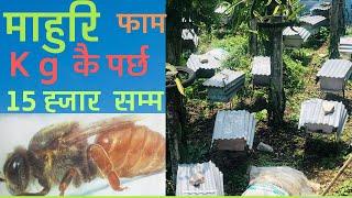 Bee farming in Nepal ||  10 हजारमै शुरु गर्नुस मौरिपालन || Story Canvas