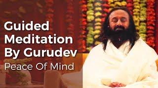 The 3 Dimensions   Deep Relaxation   Guided Meditation By Gurudev Sri Sri Ravi Shankar