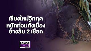 เชียงใหม่วิกฤตหนักท่วมทั้งเมือง ช้างล้ม 2 เชือก : News Hour Weekend 05-10-67 ช่วง2