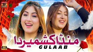 Munda Kashmir Da | Gulaab | (Official Video) | Thar Production