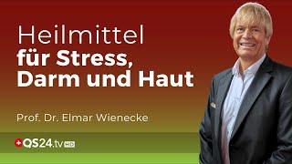 Heilung von innen heraus: Wie Mikronährstoffe Stress, Darm und Haut transformieren | QS24 Gremium