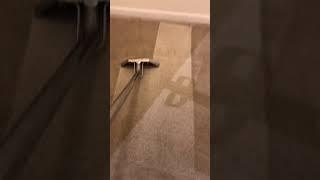 Carpet Cleaning in Houston by DRD Cleaning Solutions.