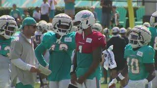 Dolphins hold joint practice with Falcons