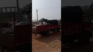 lorry back reverce and frount load || Bull Cart in Village