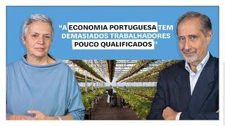 Pedro Martins: "A economia portuguesa tem demasiados trabalhadores pouco qualificados"