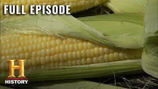 Modern Marvels: How Corn Fuels America (S13, E39) | Full Episode | History