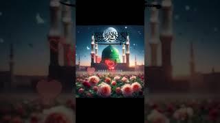 WE LOVE ISLAM   #islamicstatus #viralvideo #love#viralshorts