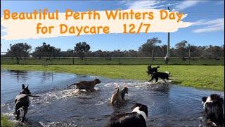 Beautiful winters day in Perth for daycare today!