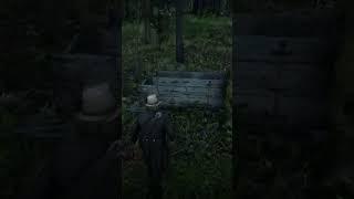 I think you MISSED it  in RDR 2