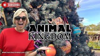 Animal Kingdom Rides and Shows 11/21/24