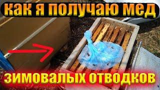 Содержание слабых семей пчел. Как получить товарный мед с зимовалых отводков.Улей Озерова.Часть 1