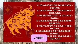 Гороскоп на 2024 год для родившихся в год БЫКА 1961, 1973, 1985, 1997 и 2009 г