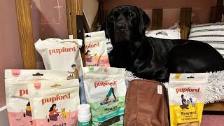 Pupford Product Review