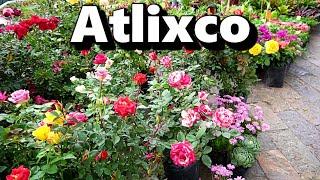 Atlixco, Puebla | ¿Qué hacer y qué lugares visitar en el Pueblo Mágico de las Flores?  | México