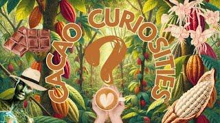 CACAO’s Mind-blowing FACTS: How to GROW the ‘Food of the Gods’ That Shaped CHOCOLATE!