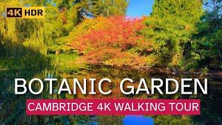 Touring the Stunning Cambridge University Botanic Gardens Walking Tour in 4K HDR