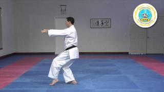 Kosokun Sho - International Hayashi-Ha Shito-Ryu