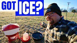 BEST & CHEAPEST Chicken Waterer To Use During WINTER