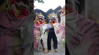 DIGODAIN !! Barongan Ngamuk Ngejar Sampai Ketangkap